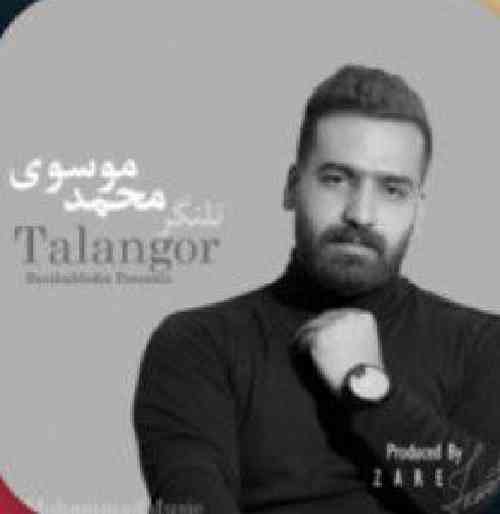 محمد موسوی تلنگر